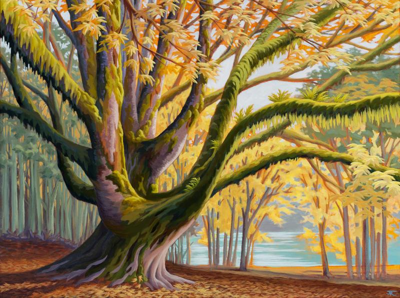 Graced by a Maple, Canvas fine art print